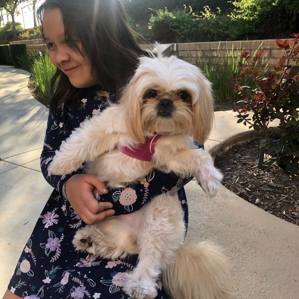 Meet your Posher, Violet